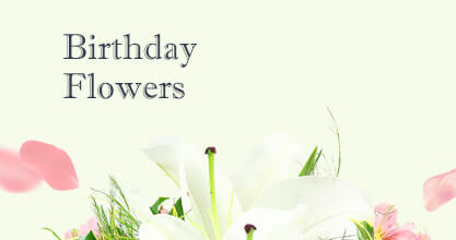 Swiss Cottage Birthday Flowers