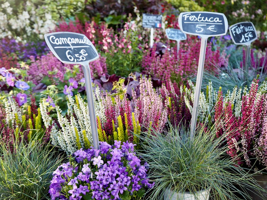 A vibrant flower display at a garden center featuring a variety of flowering plants arranged in pots and beds. In the foreground, purple petunias with ruffled petals cascade from a pot, surrounded by
