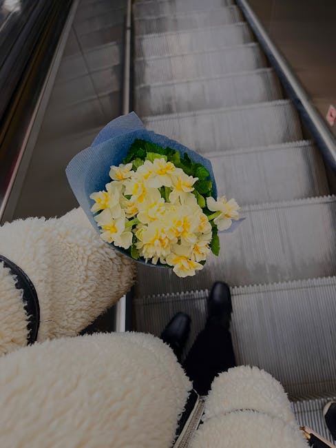 A person wearing a cream-colored, textured fleece jacket is holding a bouquet of fresh yellow primrose flowers wrapped in blue tissue paper, positioned on an escalator at Swiss Cottage station. The bo