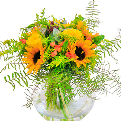 Presented in a crystal-clear, fishbowl-style vase, this exuberant bouquet brings together the sunny happiness of Swiss Cottage with artful flair. The arrangement's focal point is a cluster of radiant yellow sunflowers, their velvety petals surrounding strong, dark brown centres-each bloom recalling the vibrancy found on a stroll past the farmers' market at Swiss Cottage. These grand flowers are complemented by bright yellow filler blooms-likely cheerful solidago or mimosa-that fill out the bouquet with extra light and texture, lending depth and life. Splashes of soft coral-orange from petite tulips or similar accent flowers add contemporary charm and gentle warmth, blending seamlessly with the lush greenery. The bouquet's frame is formed by feathery fern fronds, which drape elegantly over the vase's edge and evoke the wild tranquillity of Hampstead Heath. Eucalyptus sprigs in cool, blue-green shades bring a refreshing, modern note, while clusters of bright, lime-toned leaves complete the composition. The transparent glass shows the natural stems stretching into clean water, highlighting freshness and care in every detail. This arrangement feels like an invitation to celebrate, radiating positivity and delight-perfect for marking a milestone near Belsize Park, brightening up an office, or extending encouragement to someone special. Each flower and frond reflects the experience and creativity of Swiss Cottage's local florists, making it a fitting, heartfelt gift for any season.
